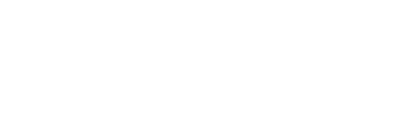 SparkleLogoWhite